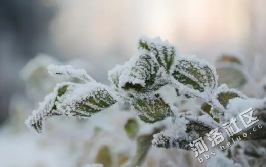 2023年吉林市雾凇冰雪节开幕时间是什么时候1