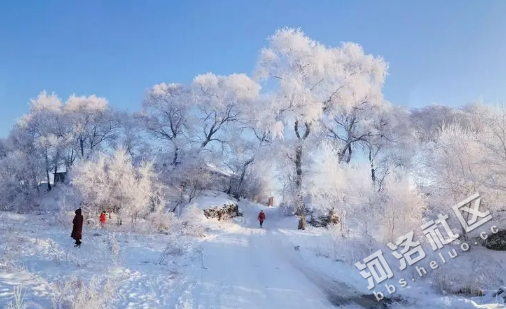 2023年吉林市雾凇冰雪节开幕时间是什么时候2